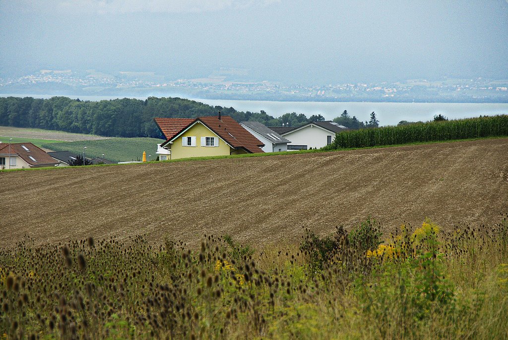 Lugnorre - Vue sur le lac de Neuchâtel by Henry Imbert