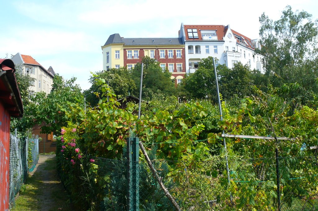 Bahn Landwirtschaft Charlottenburg by gurung