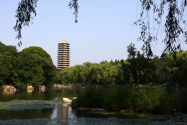 Peking University, Beijing by Fan Yang(杨帆)