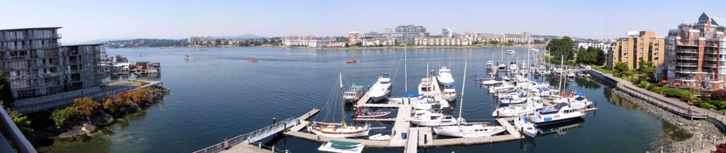 View from Coast Victoria Harbourside Hotel & Marina by Sean Turvey