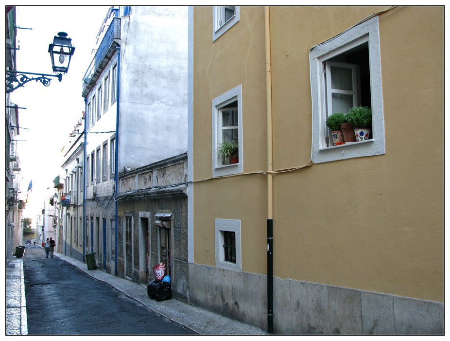 Madragoa - Rua do Machadinho by André Barragon