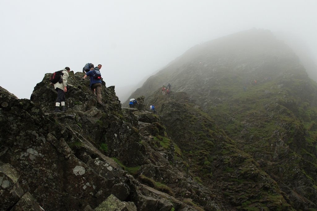 Getting busy, Sharp Edge by mgfergus