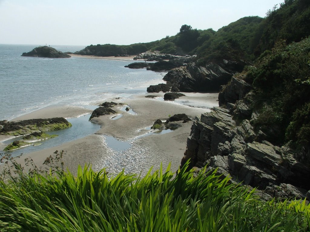 Borth y gest by Graham Willetts