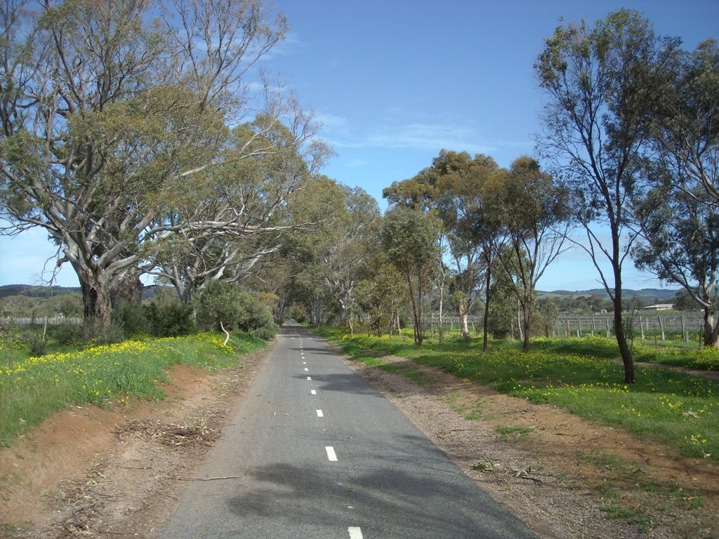 Bike track to willunga by singing geo