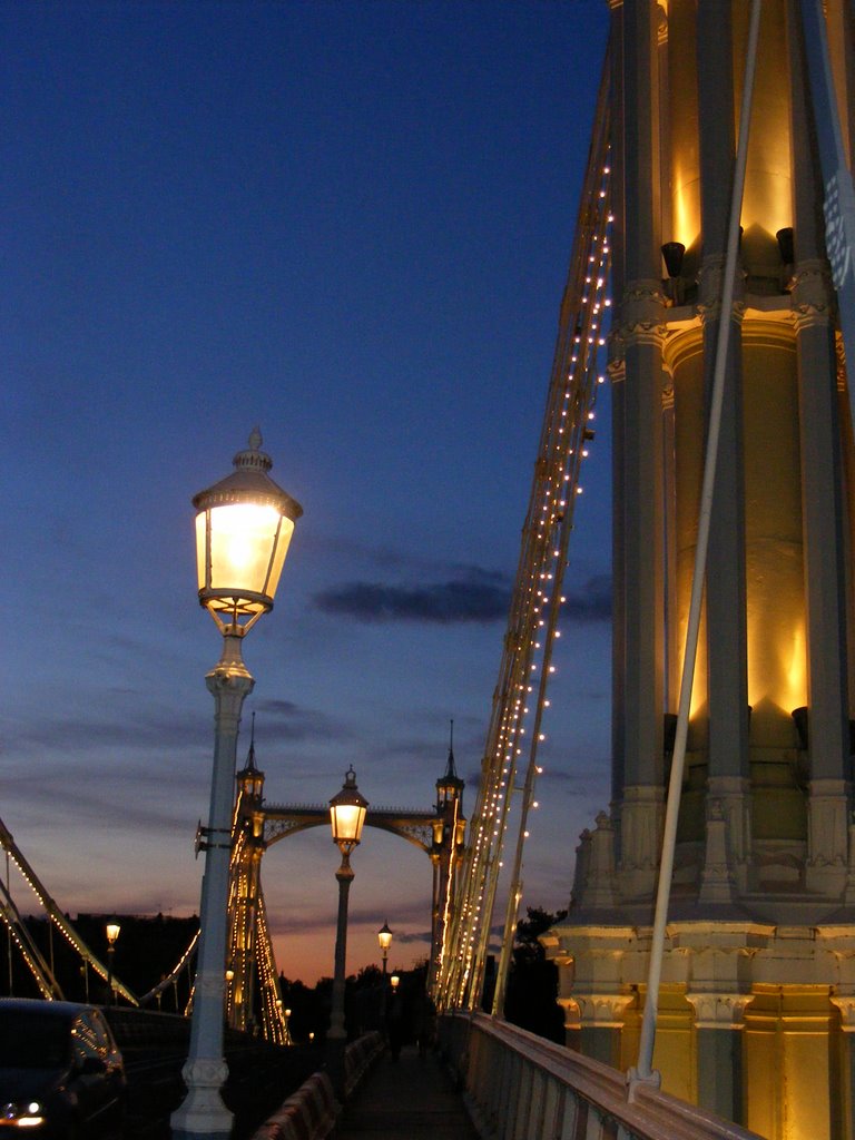 On the Albert Bridge by scoldy