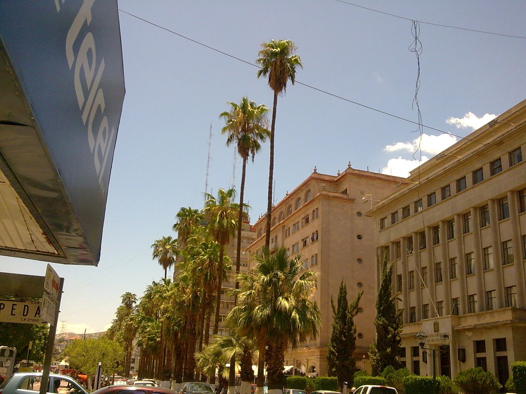 Av. Morelos (Centro Historico) Torreon by nacho alvarez