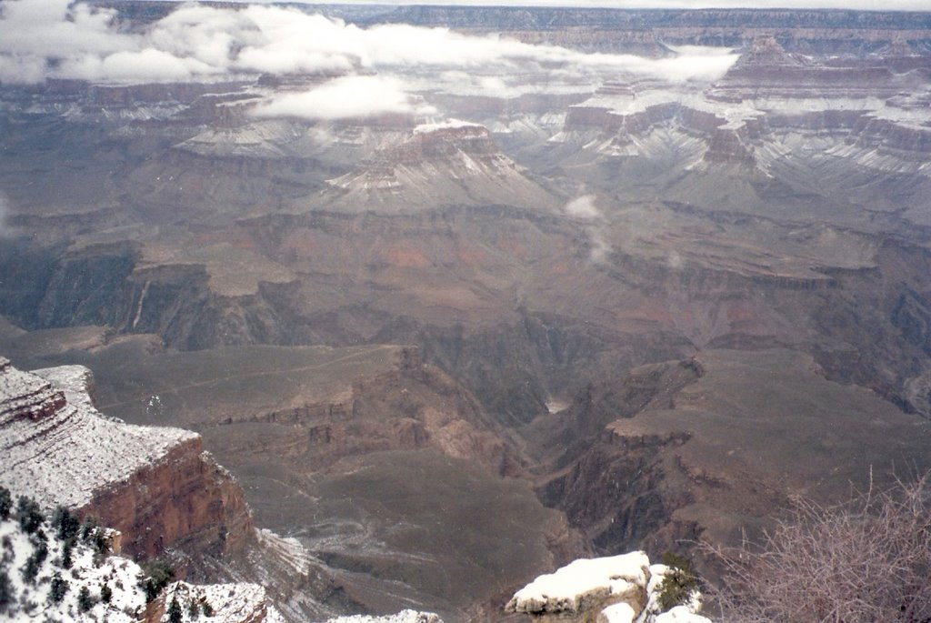 Grand Canyon National Park. by C haydeé