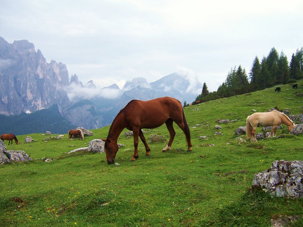 32027 Taibon Agordino, Province of Belluno, Italy by giulio fecchio