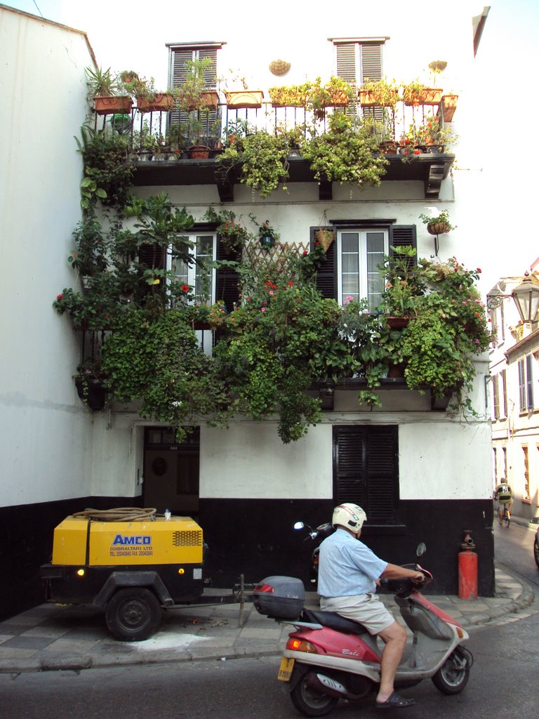 Casa Florida en Main St. Gibraltar by Rafael Guerrero