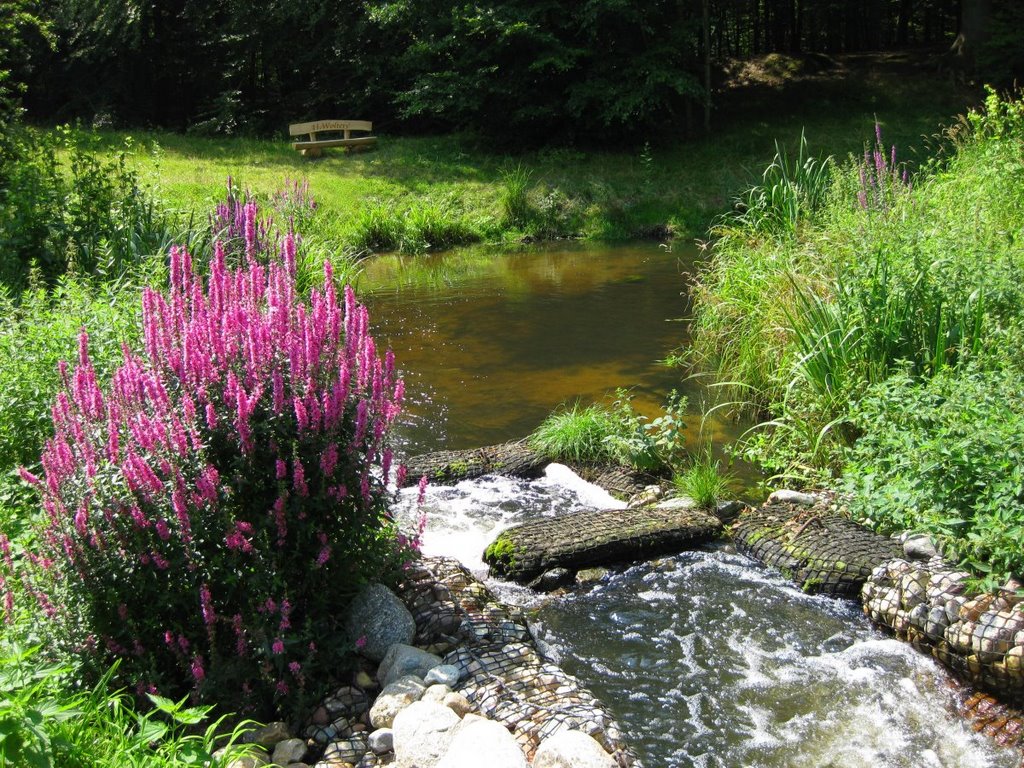 Der Teich an der Fischtreppe (Wohldorf). by Hans Wolters