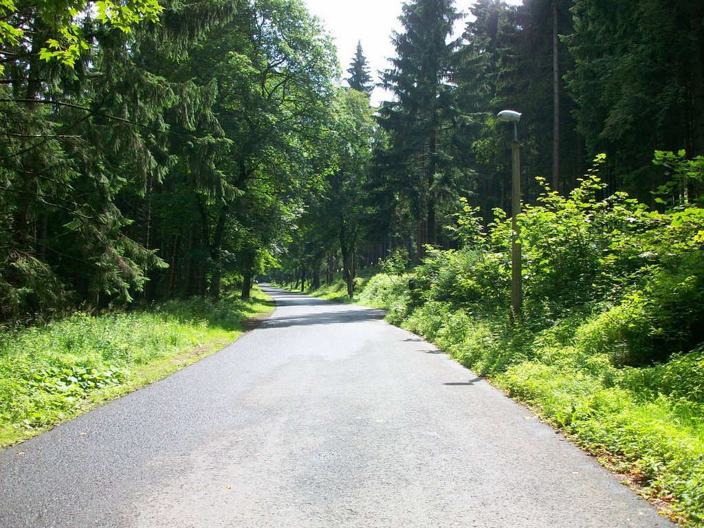 Oberhof 2009 by dennisvanvuuren