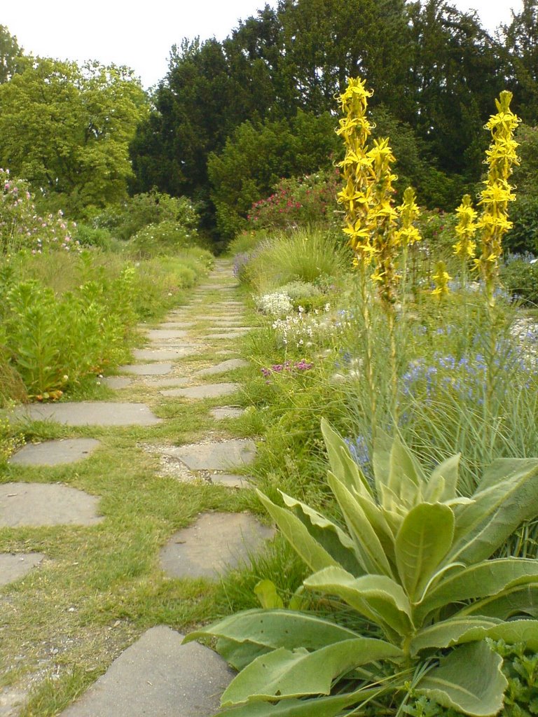 Steinweg im Garten by Mittler Werner