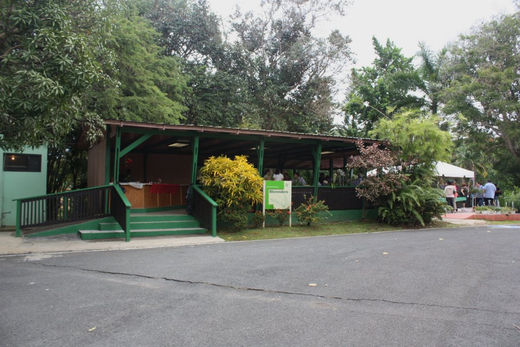 JARDIN BOTANICO UPR, RIO PIEDRAS, PUERTO RICO by William Vazquez