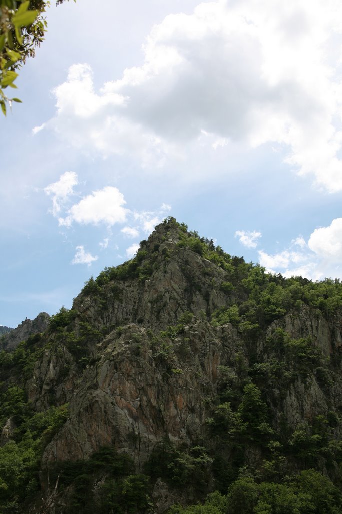 Casteil, Pyrénées-Orientales, Languedoc-Roussillon, France by Hans Sterkendries