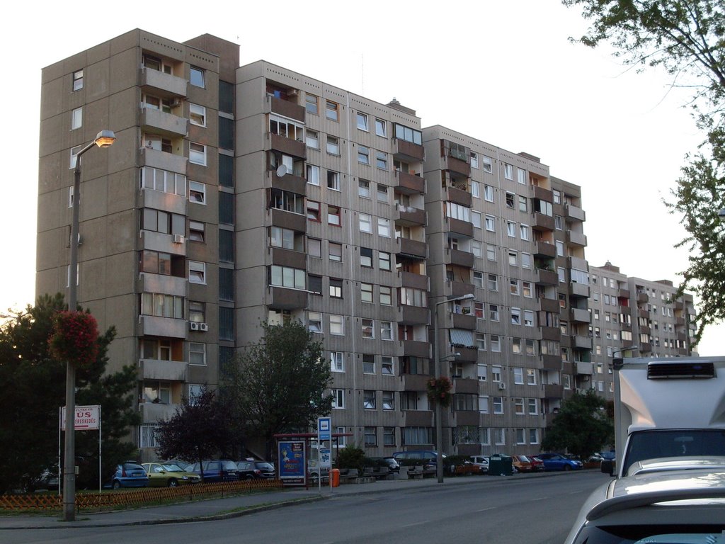 Panel houses of "Pest Elisabeth",21st July,'09;20:07 by Aeslan