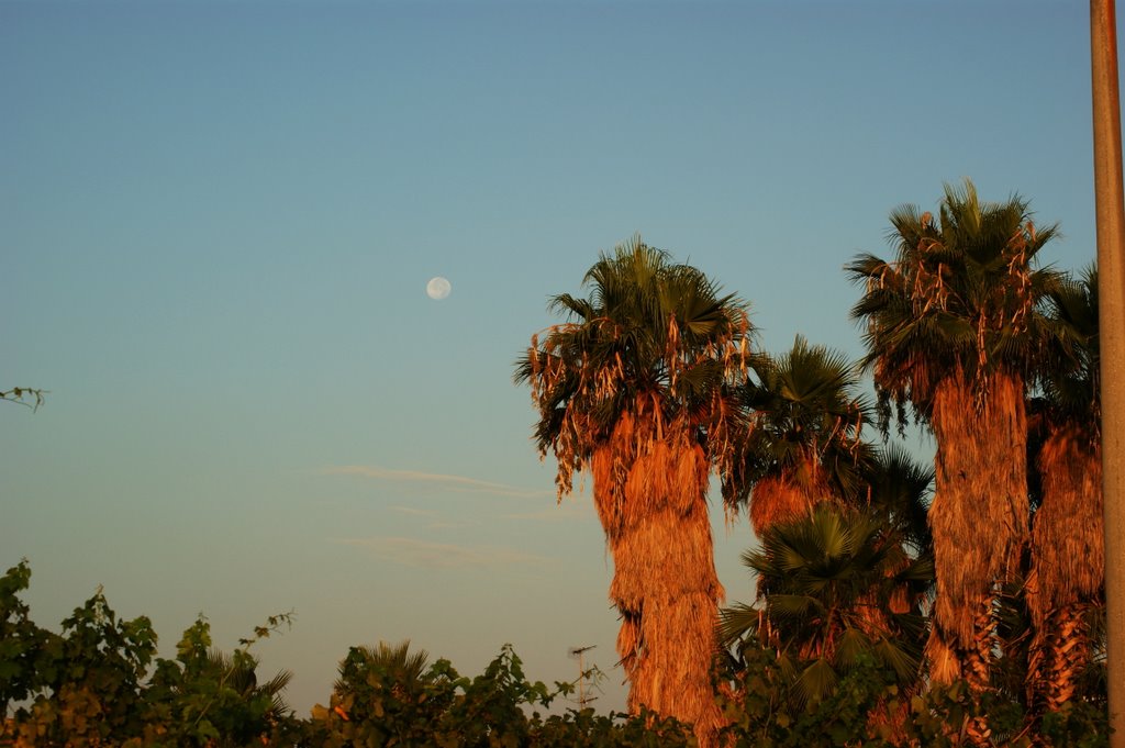 Paralia, Greece by Christos Panagiotou