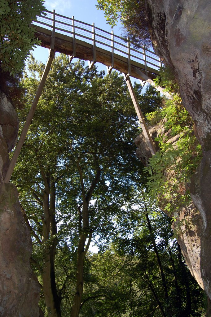 Swiss Bridge, Hawkstone Park by Sarah Graham