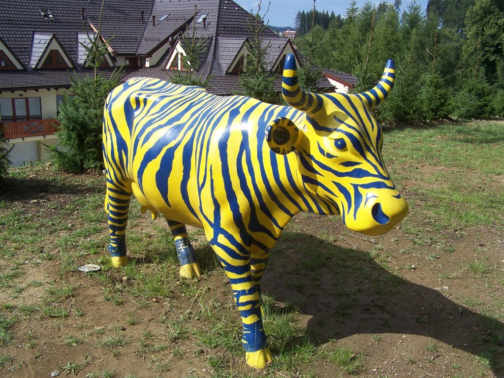 Donovaly - zebra cow :)) by Bibiana Papp