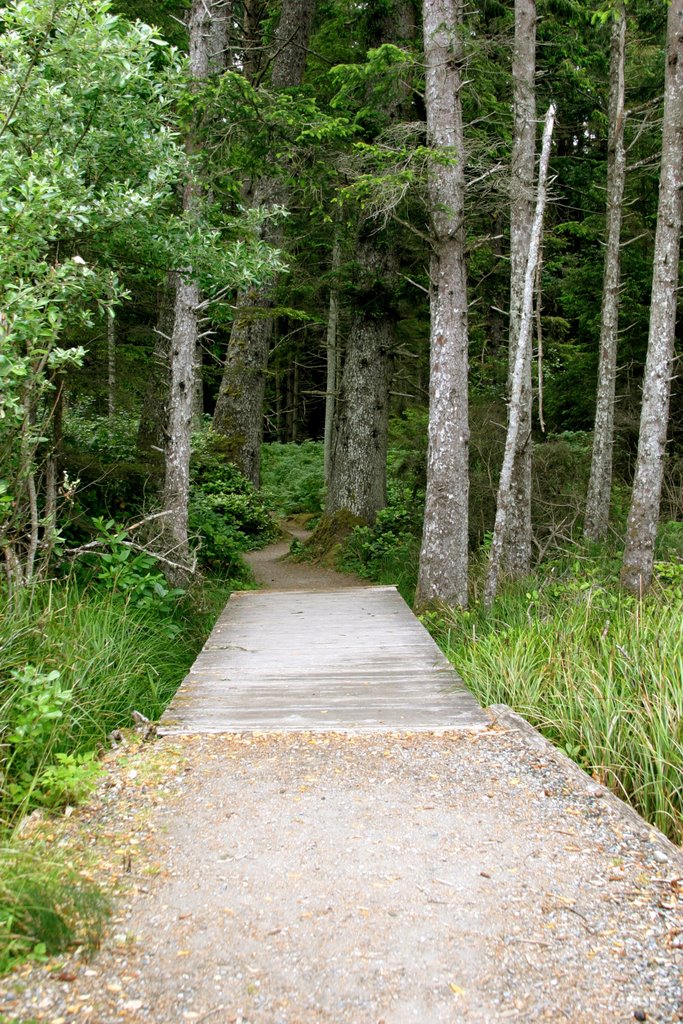 Path at French Beach BC Canada by MaryConverse