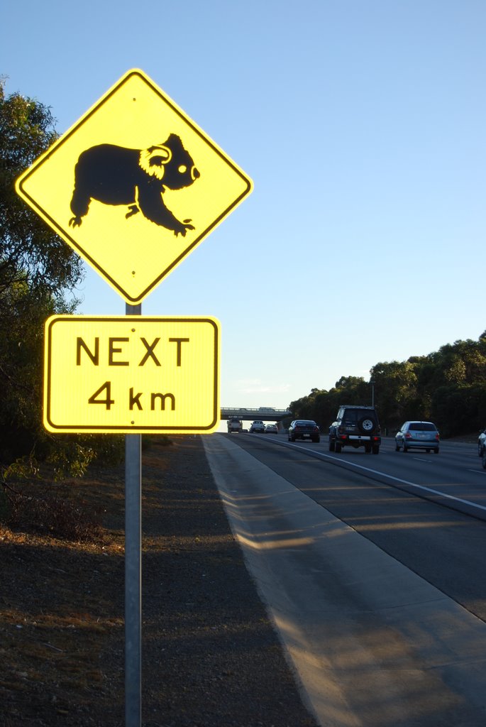 Watch for wildlife - Southern Expressway by Phaedrus Fleurieu