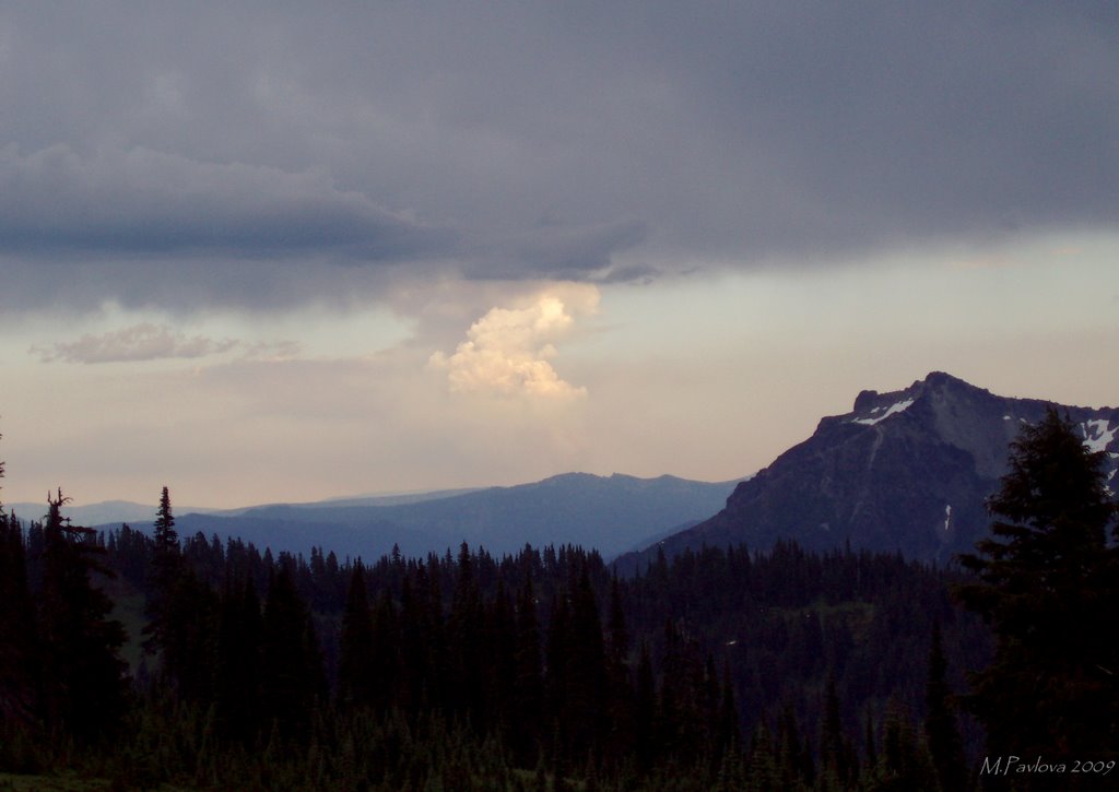 Mount Rainier National Park from Trail near Paradise. by Maria Pavlova