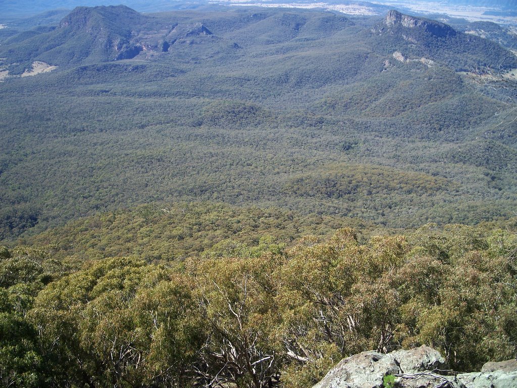 Looking east from Mt Grattai by Schneebeli