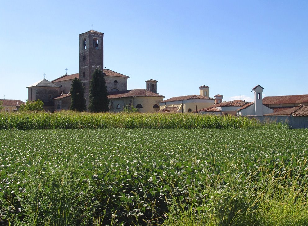 Chiesa Santa Maria Assunta, Casalbeltrame Piemonte agosto 2009 by Marco Ferrari