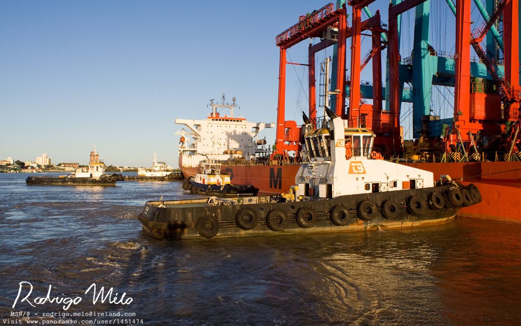 4 tugs pushing ZHEN HUA by ® Rodrigo Melo - Iri…