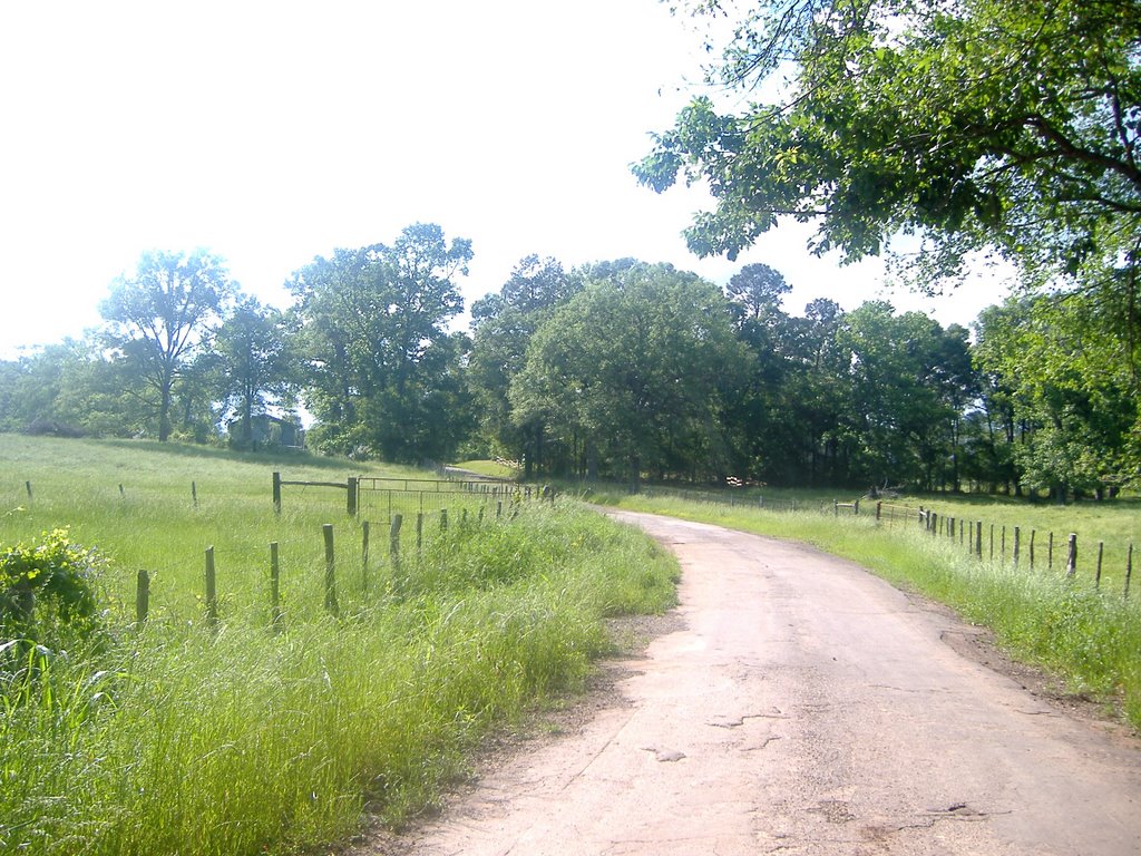 Cheeseland, Texas by Idawriter