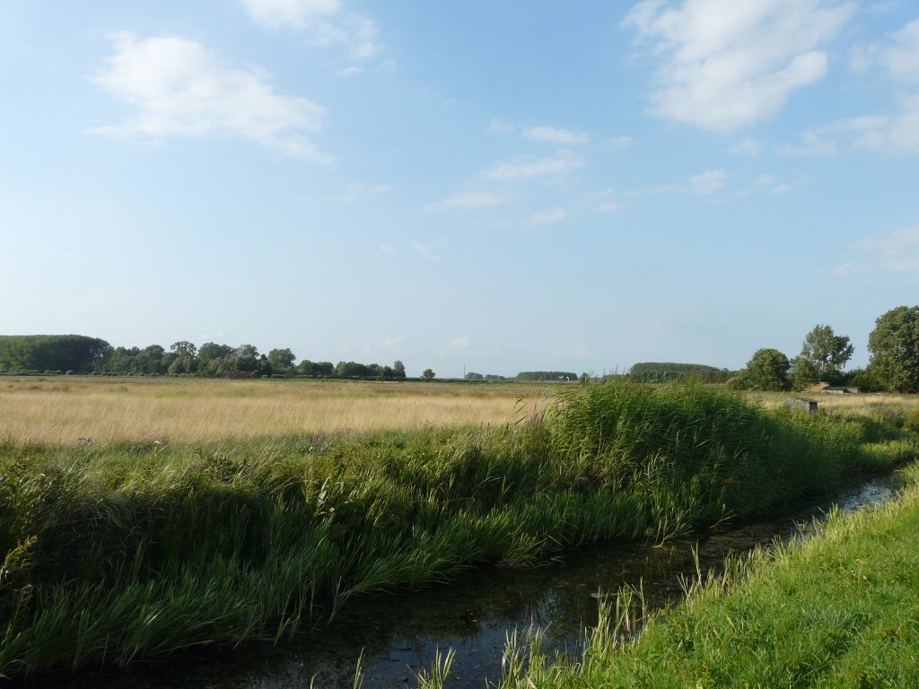 Weiland nabij de Veerstraat, zicht op noorden (A2), Waardenburg by David Jimmink