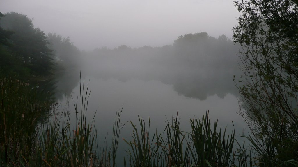 Angelteich im Morgennebel by dysy31039