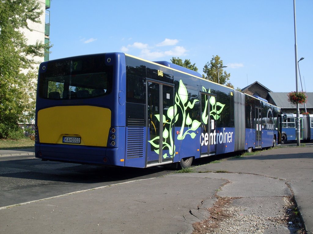 Bus of Miskolc City Transportation Company,30th July,'09;17:01 by Aeslan