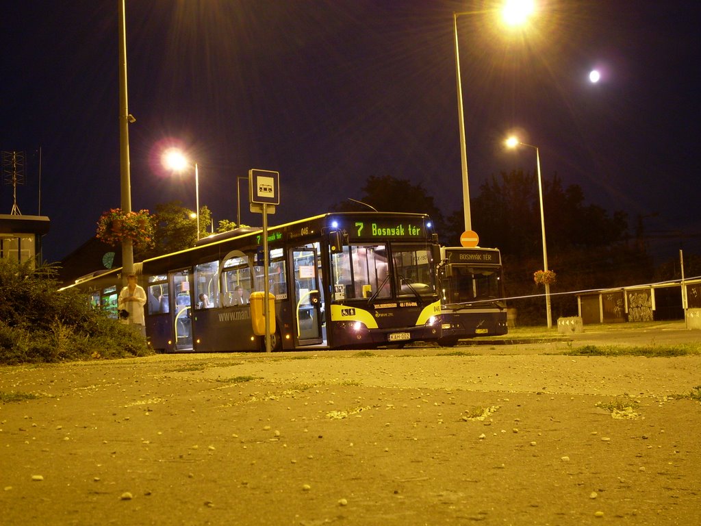 Bus of Miskolc City Transportation Company,1st Aug.,'09;21:21 by Aeslan