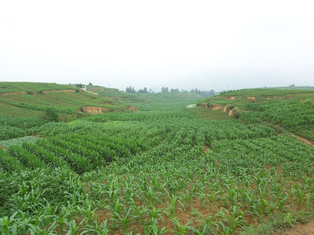 Zhaoyang, Zhaotong, Yunnan, China by hilloo