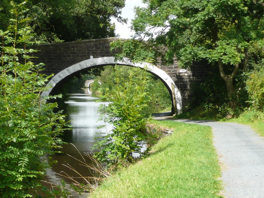 Bridge through a bridge by Tim Boon