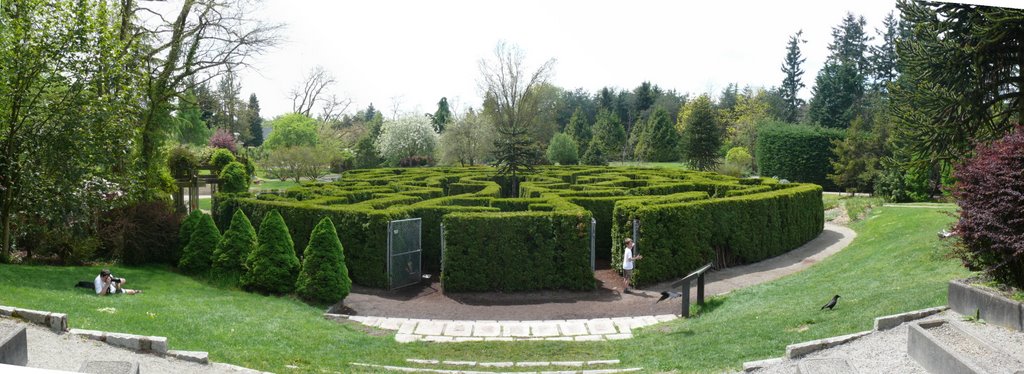 Maze Van Duesen Gardens Vancouver B.C. Canada by Randy Brennan