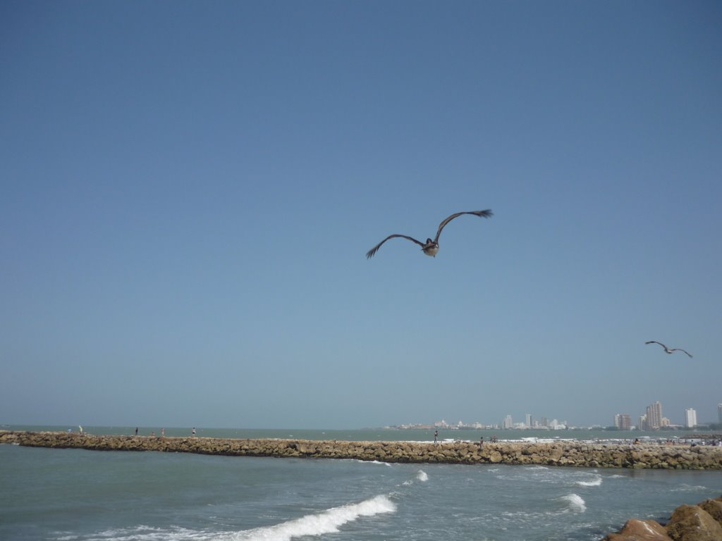 Playas de cartagena by peluffo