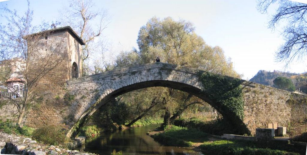 Ponte S.Francesco by wilfred74