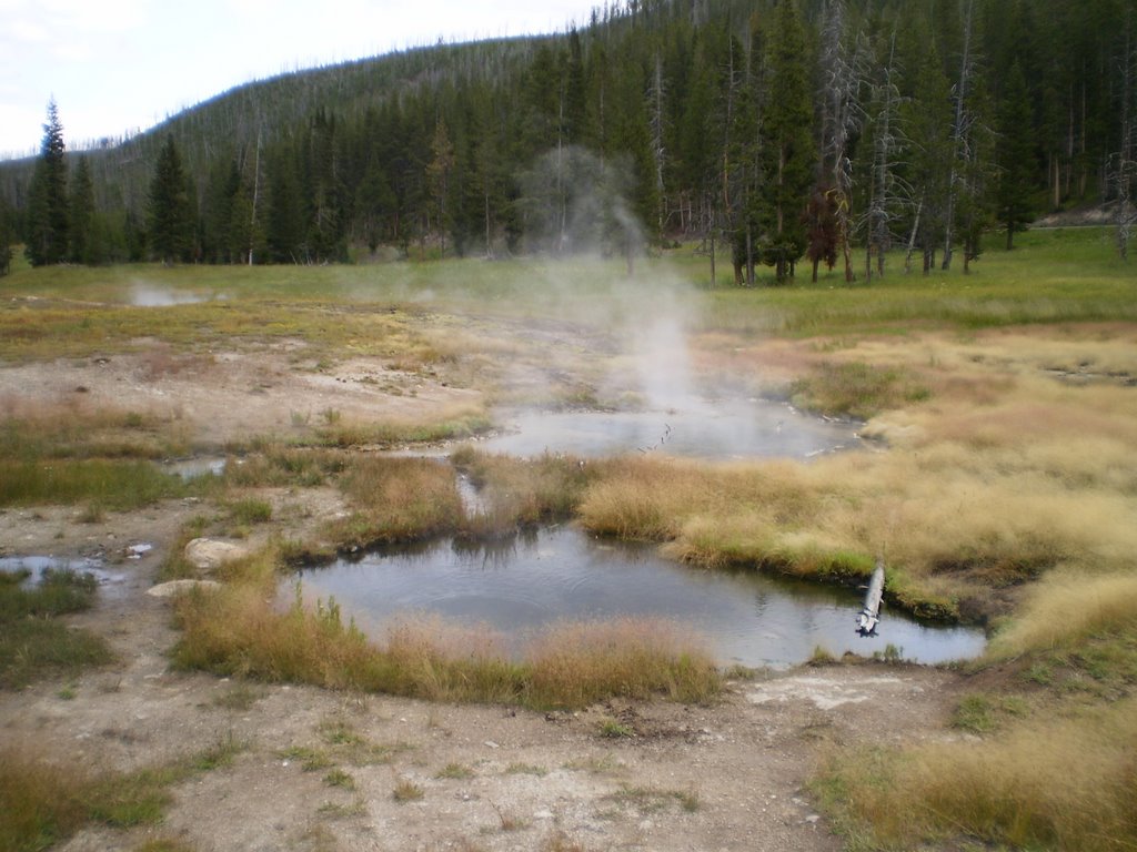 Steaming Ponds In Remote Meadow by briantravelman