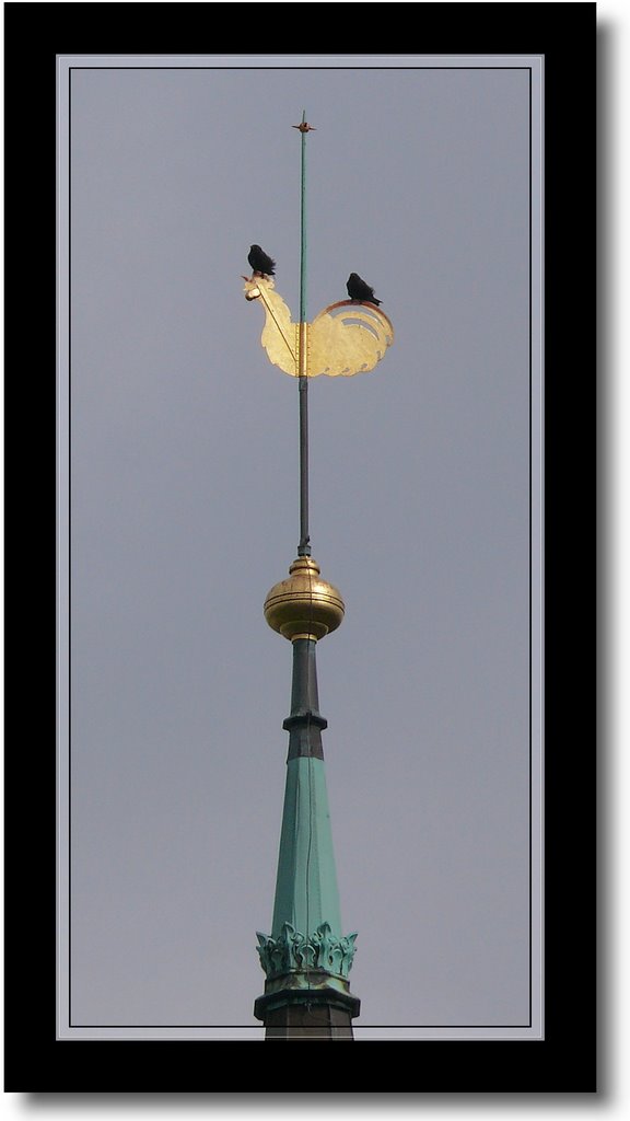 Krähen warten schon länger: es gibt Hähnchen am Spieß! (Kreuzkirche Wandsbek) by klaus040-panoramio s…