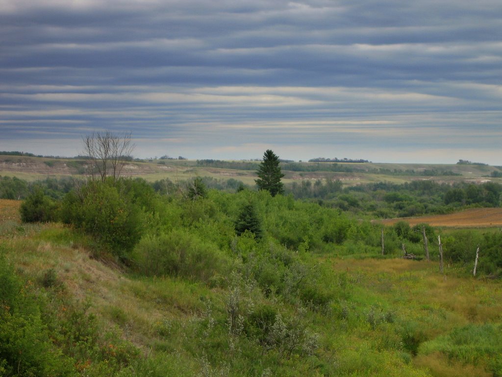 Interesting Skies at the Valley's Edge in the Battle River Badlands Southeast of Camrose And Edmonton, Alberta, Canada by David Cure-Hryciuk