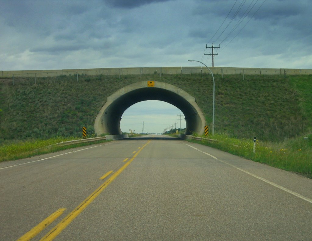 Tunnel Under A Coal Mine Road Near Big Knife Provincial Park, Southeast of Camrose, Alberta by David Cure-Hryciuk