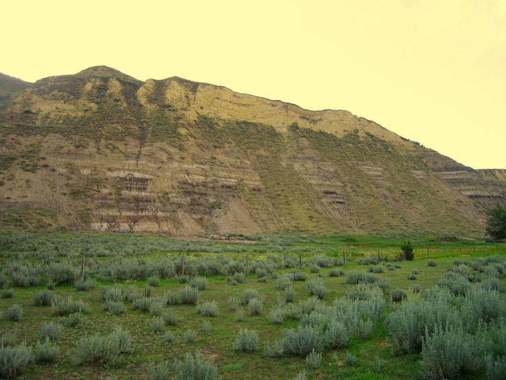 Sagebrush And Canyon Walls Near Rosedale, East of Drumheller, Alberta, Canada by David Cure-Hryciuk