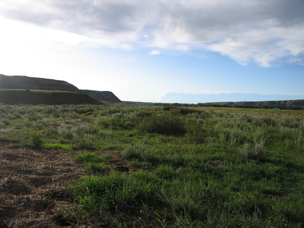 The Semi-arid Rangelands Near Nacmine, Northwest of Drumheller, Alberta, Canada by David Cure-Hryciuk