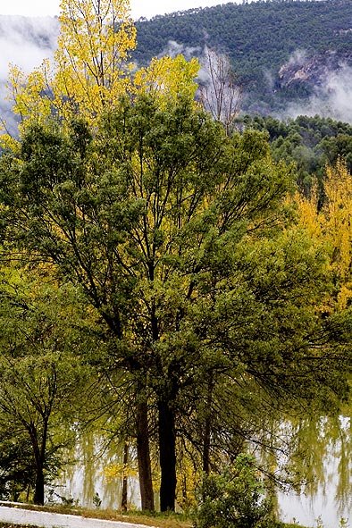 Contrastes de colores, Hotel Noguera by otii