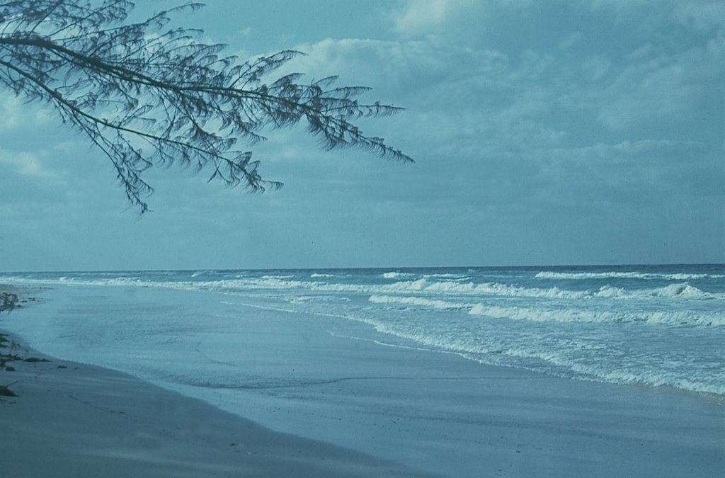 Playa Santa María (1974) by Czech guy