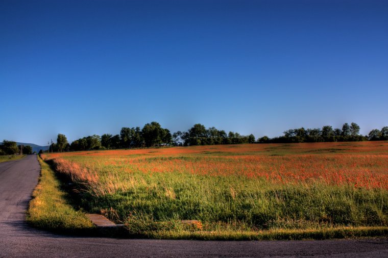 Poteau Nail Creek Road by LarcenIII