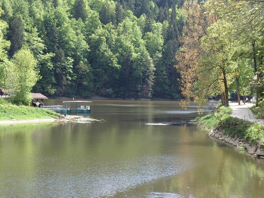 Saut du doubs by mistral83