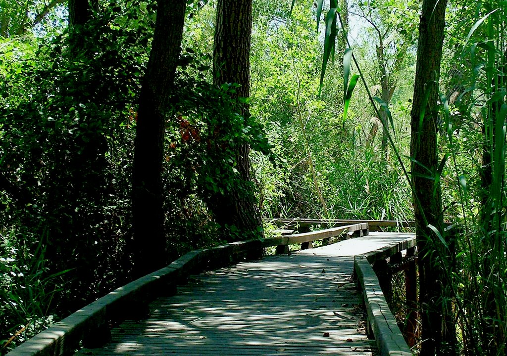 Flix boardwalk by BirdingInSpain.com