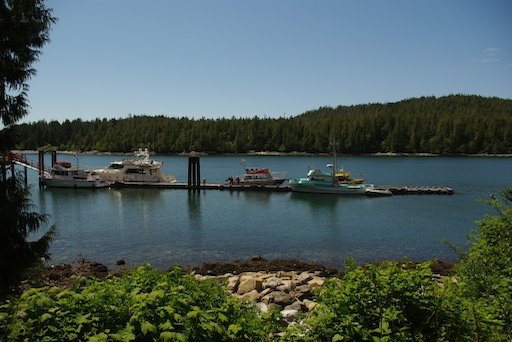 The marina in Tofino where we keep our whale watching boat by whale safaris